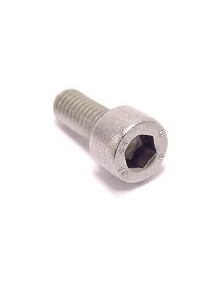 Inbusbout M5x12 Bofix RVS (25 stuks)